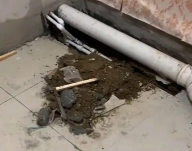 贺州市卫生间漏水检测哪家好